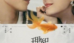 王鹤棣秦岚爆料视频,幕后故事大公开